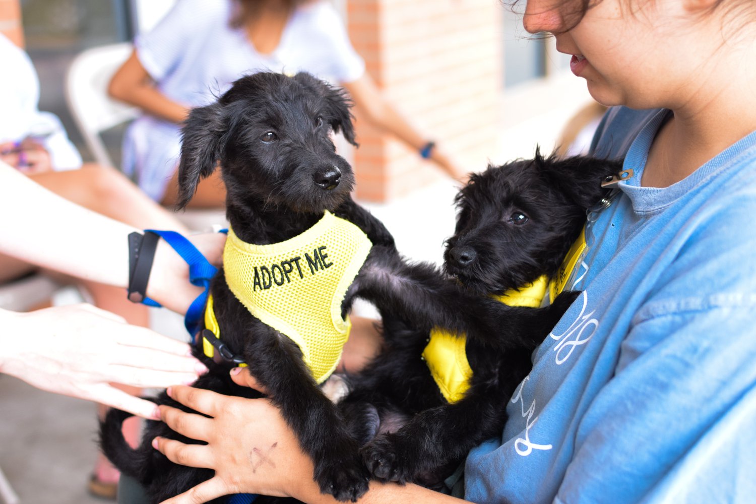 29473082_10160253335905385_5059651219069337600_o