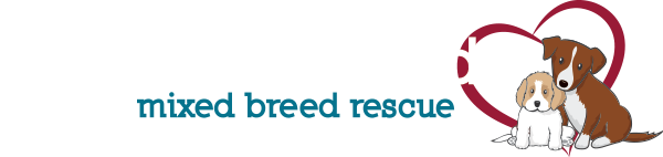 forgotten-friends-logo-retina