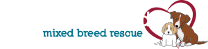 forgotten-friends-logo