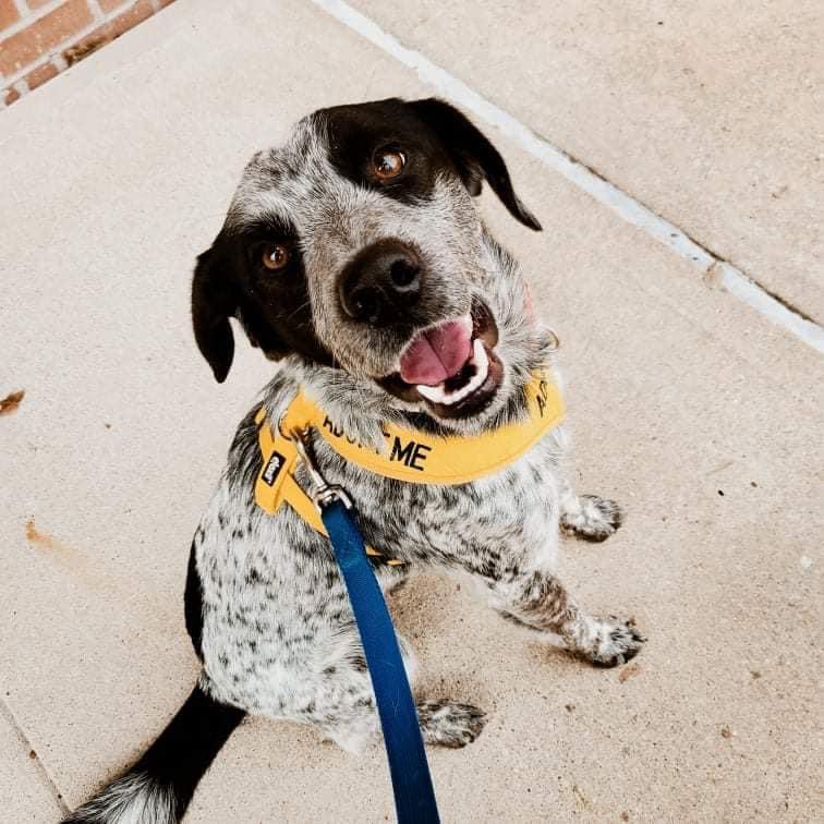 5C42668F-66C4-41E2-9C25-3BF5C7DD31B2