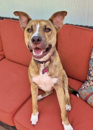 9F5CC34D-D0D8-4AE0-876B-7CE35522EA3C