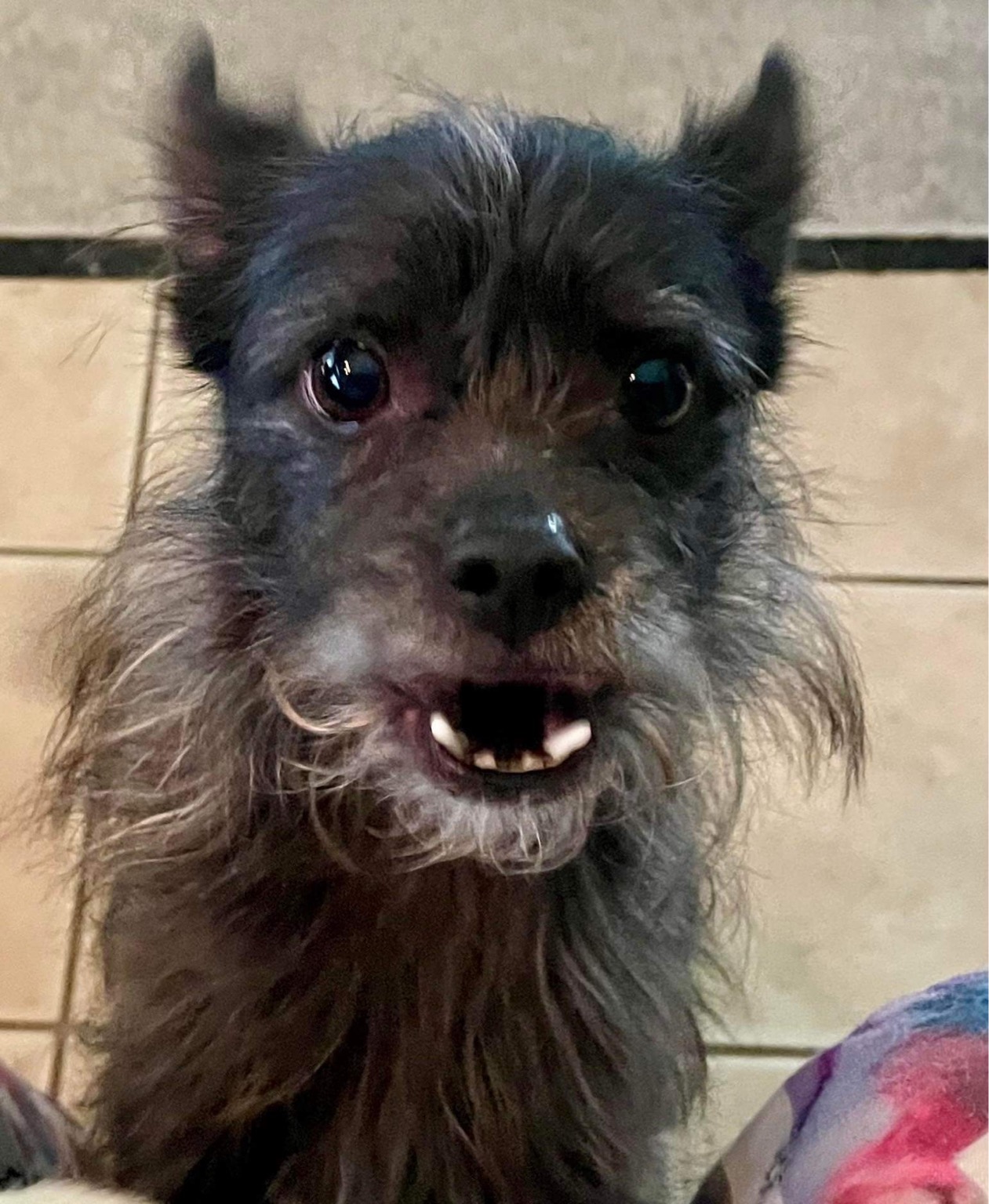 37EF952E-B17C-4C37-99B6-7D318FFF3DD1