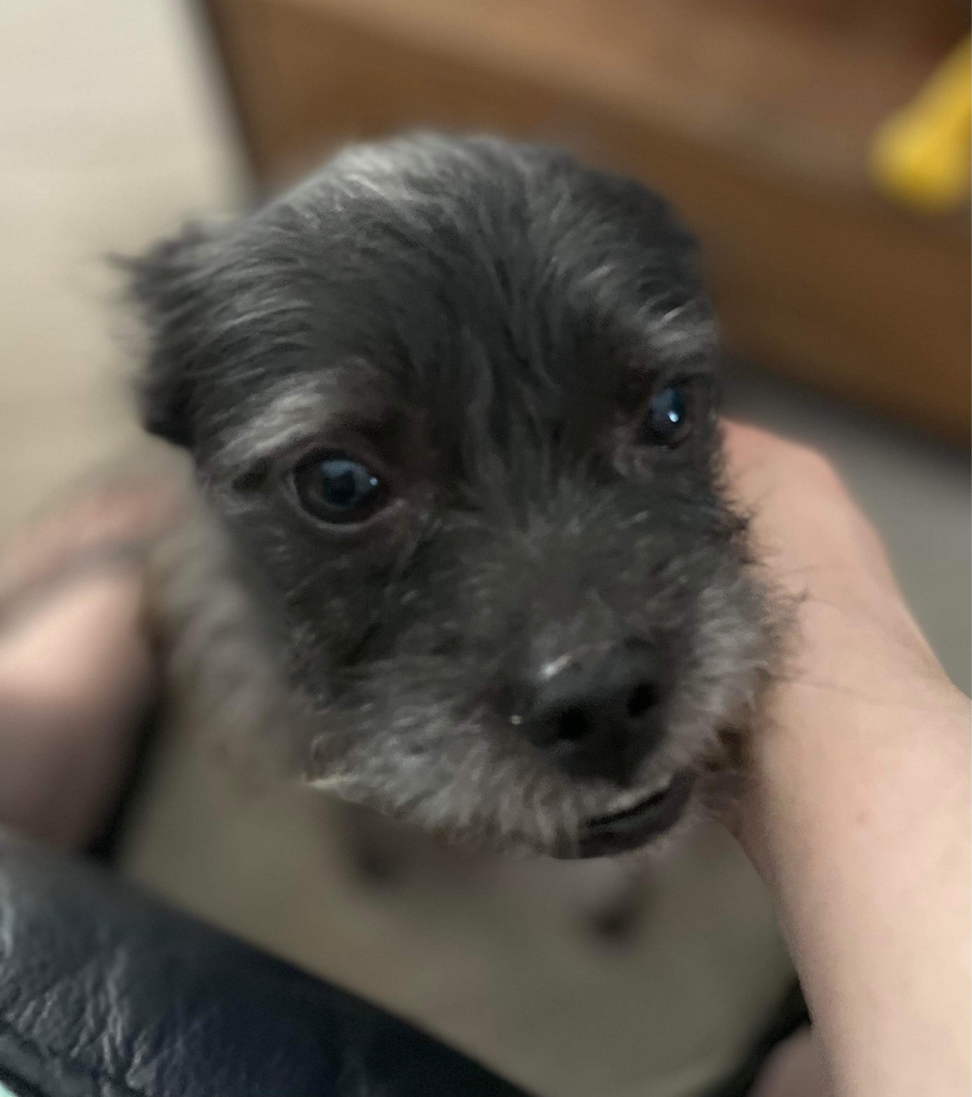 817D34F4-025E-4D83-B7B2-017DBAF60DD9