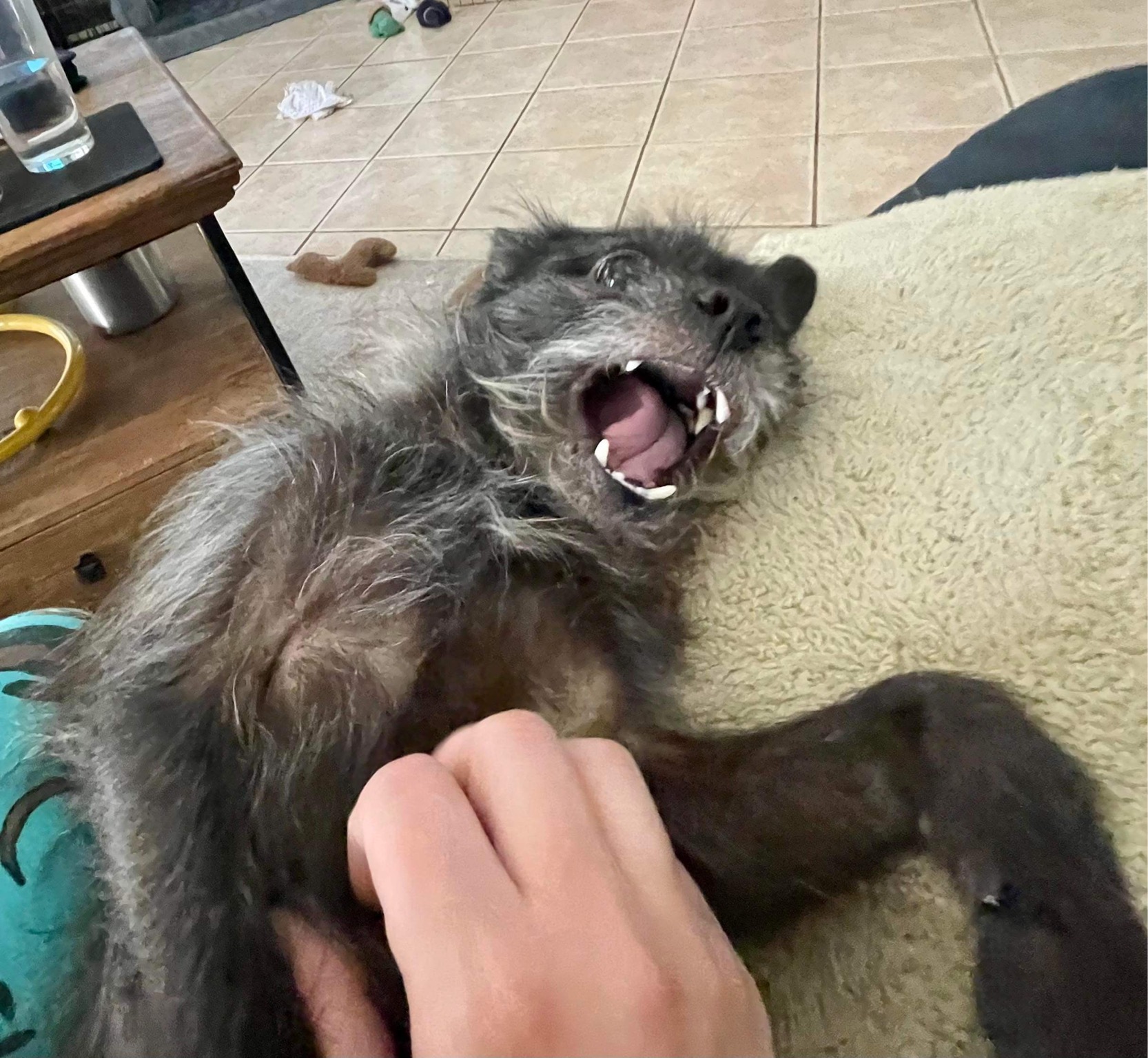 87CAD35F-616F-4E5E-9359-1B3BAF7E82A2