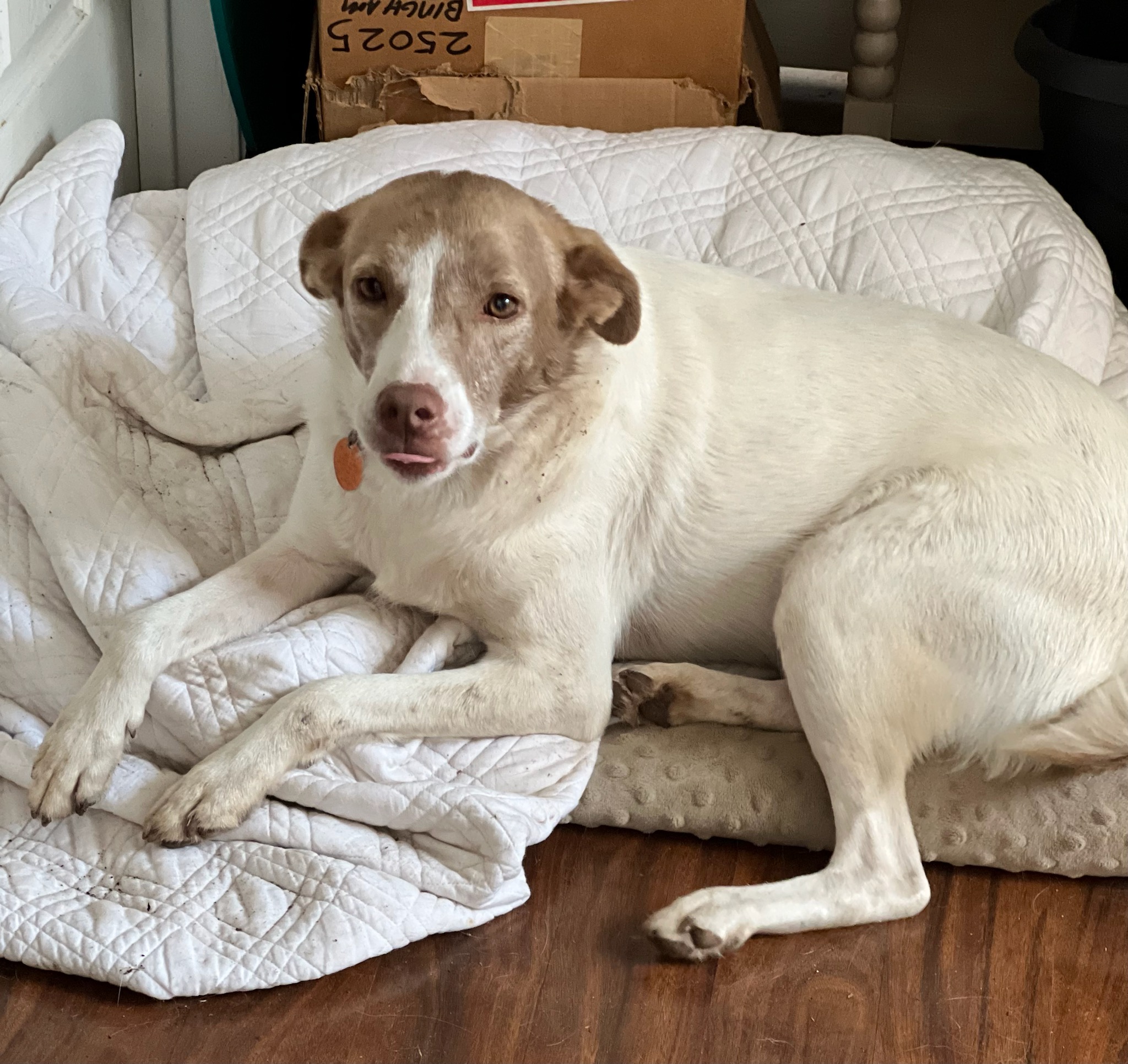 3149F78D-DF8B-4A66-9BB5-BE137A62A64A