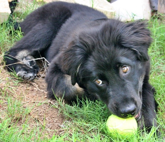 0B1D416B-E6FC-4D40-8136-E5A69639A7CC