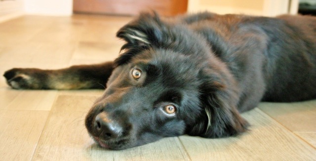 2D5BAAD3-C7BC-43CD-AFC0-D3DF1AF80FFD