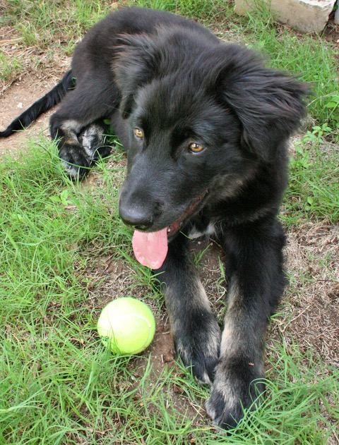 33D7854C-0D06-4E31-9D18-EA4B81C897A5