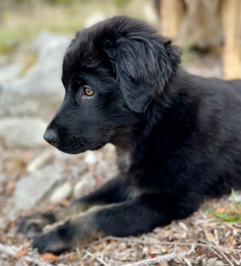 4FD1DC11-AF35-47BE-B2EF-CE19D12D306A