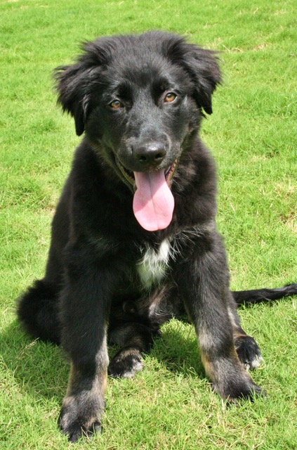 514DE7D0-610D-49ED-845C-2F711B10A598