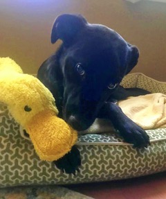 6FCBF6D0-873B-4858-AFBF-F5C9D69C0D18