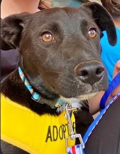 9341A3DB-D5D8-4246-95EB-380F4F1A1774