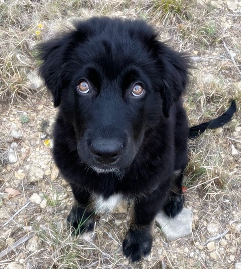 CC606160-638A-4B62-8E5E-0C9975F0B52A