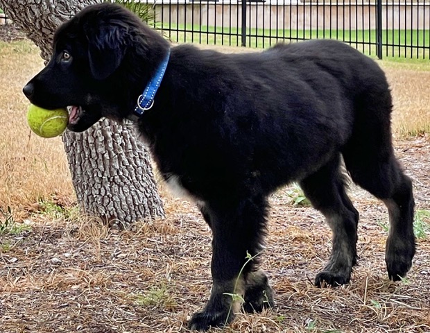 DEBB9822-3449-4AD1-98C4-6A6BEEFEA941