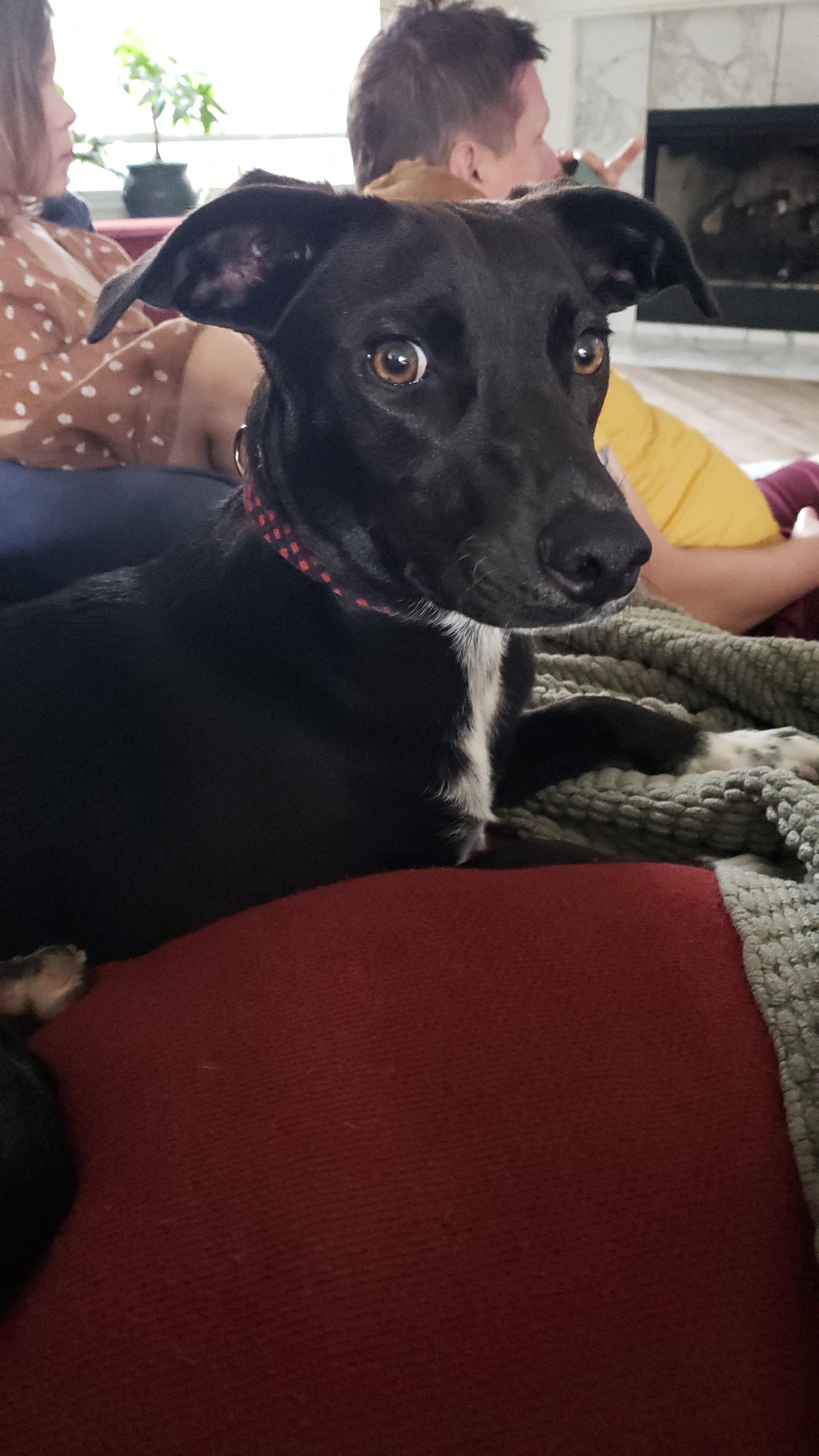 DFEBA12E-4A11-4493-8B4C-930843EDDC46