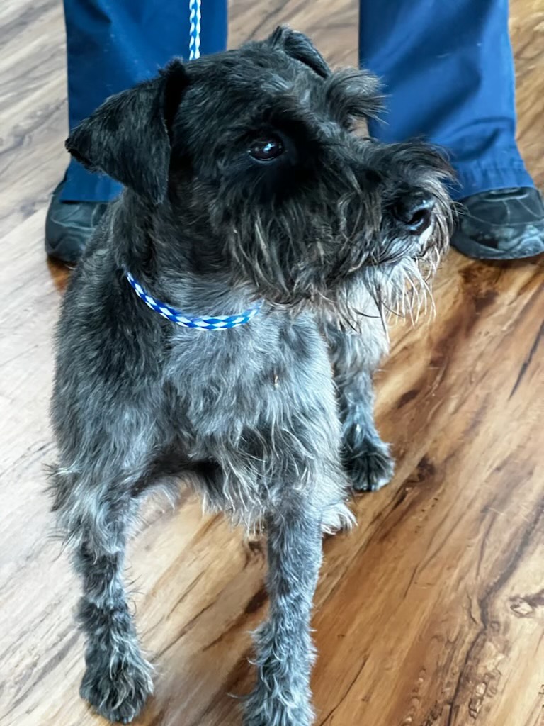 0E43C9E4-DCAE-4992-BF03-56C4146CE957