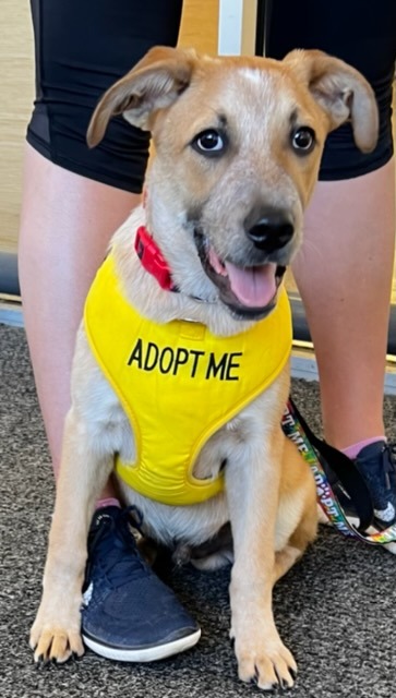 1A6D7FBB-D636-48D9-9DB0-7DB0F27D5671