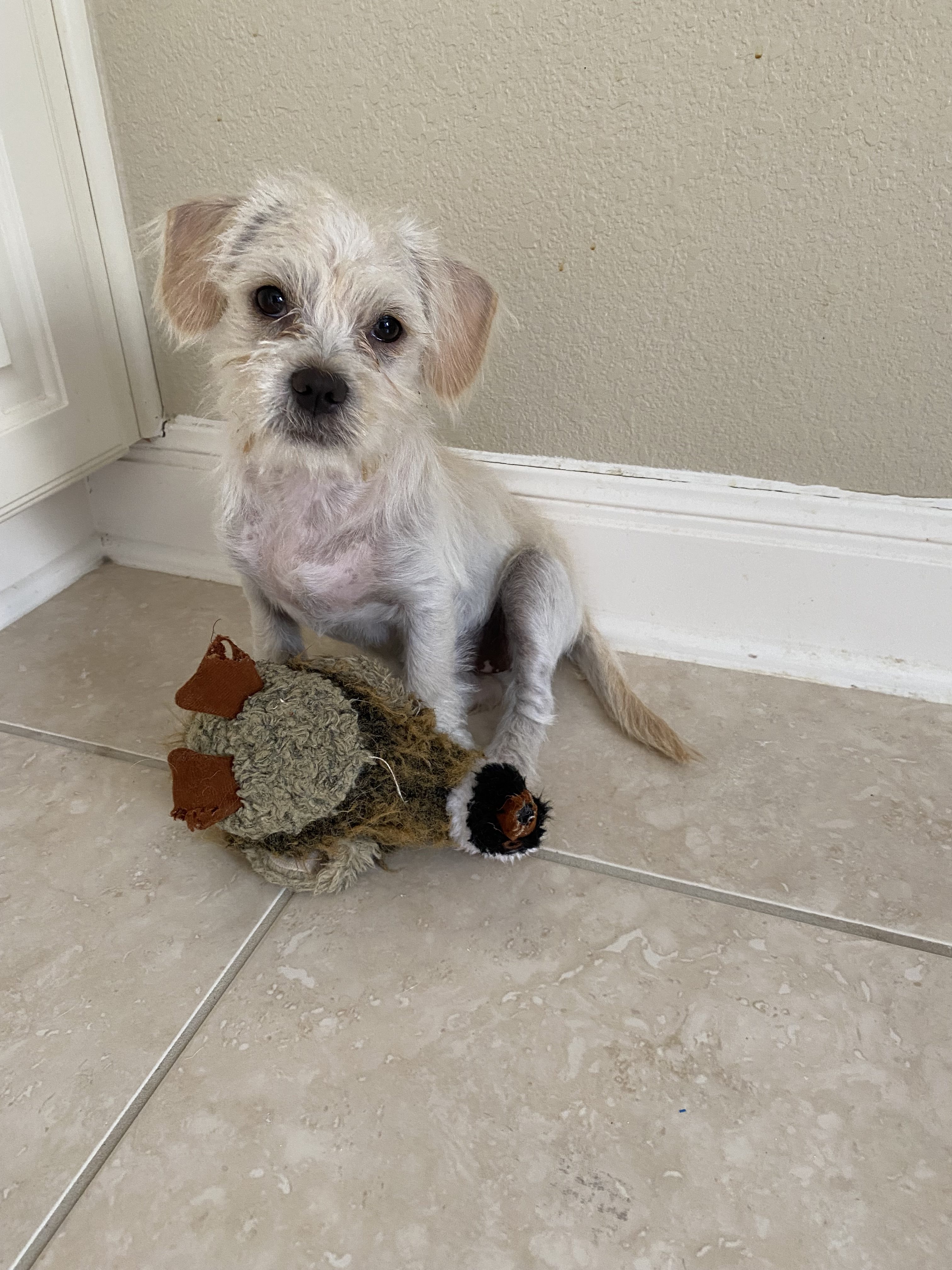 1D547E94-BA41-445F-A9DA-8B85C8BE76C1