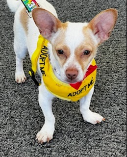 1DF52138-BDF2-4CDC-ACDA-07B82E74E121