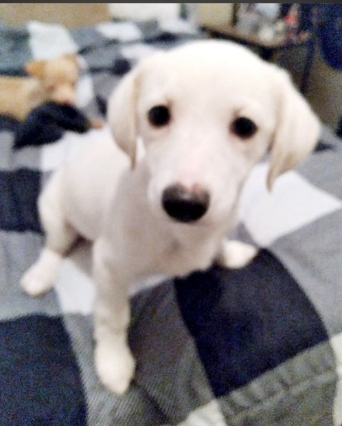 2489A720-4E54-4B66-AF0D-76DC78B2C6DC