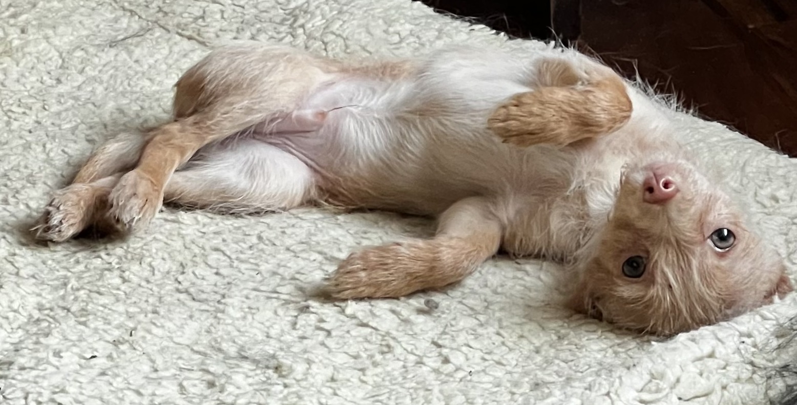 41D37409-A8ED-43FB-9354-CFAC65BB1A64