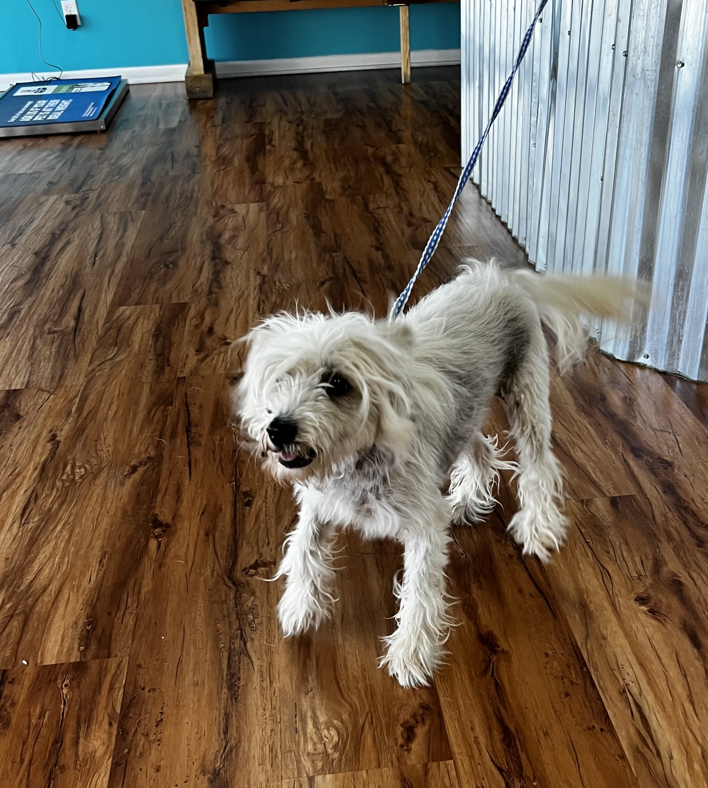 4F792320-6559-4142-B548-12A676D08202