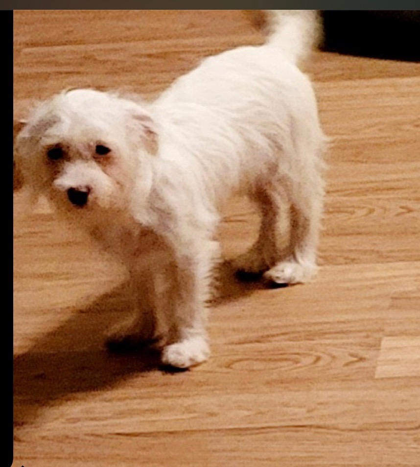 783B0702-B90F-4B8C-BFB5-250368570558