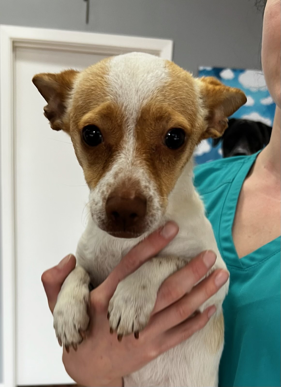 7EE71C71-F302-490E-8D54-C4F57E33B0D4