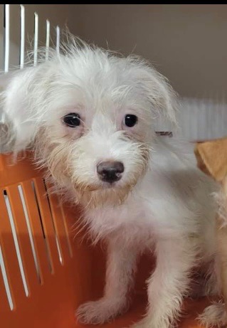 89E87D1A-EDF6-478E-83E8-149BDED332EF