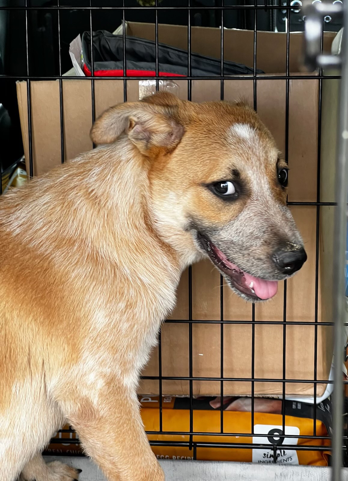 9C482567-A499-4780-A4CD-4586AF151865