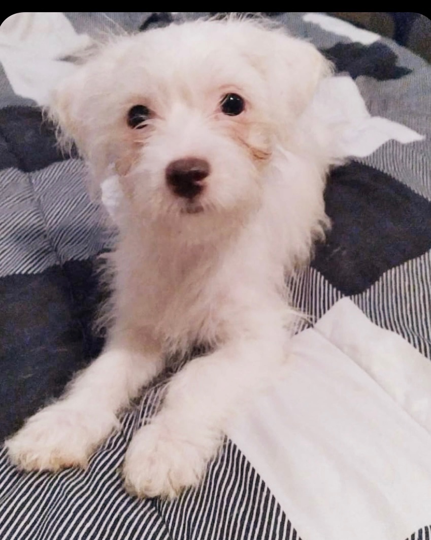 A018256F-1213-4380-B1F1-09B7984A5CE4