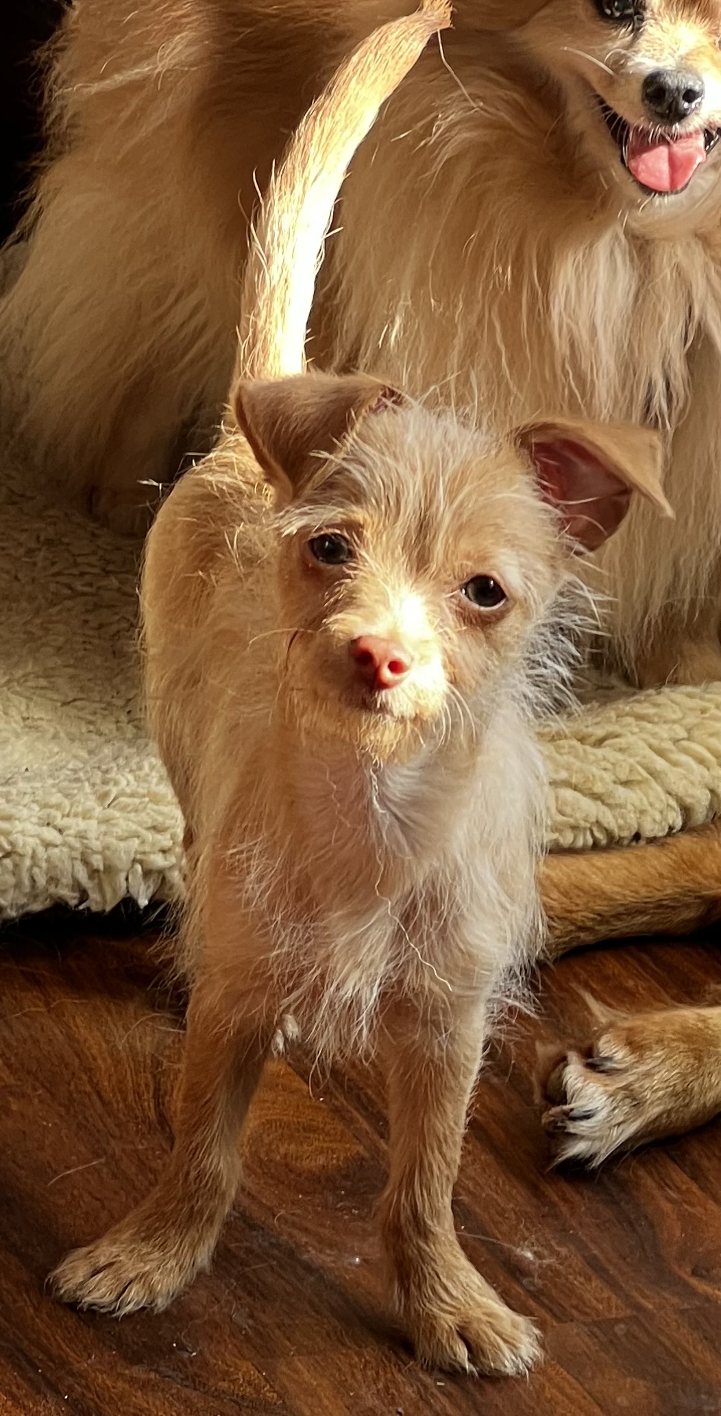 DD777E97-D76E-43B3-ABCA-913201373F05