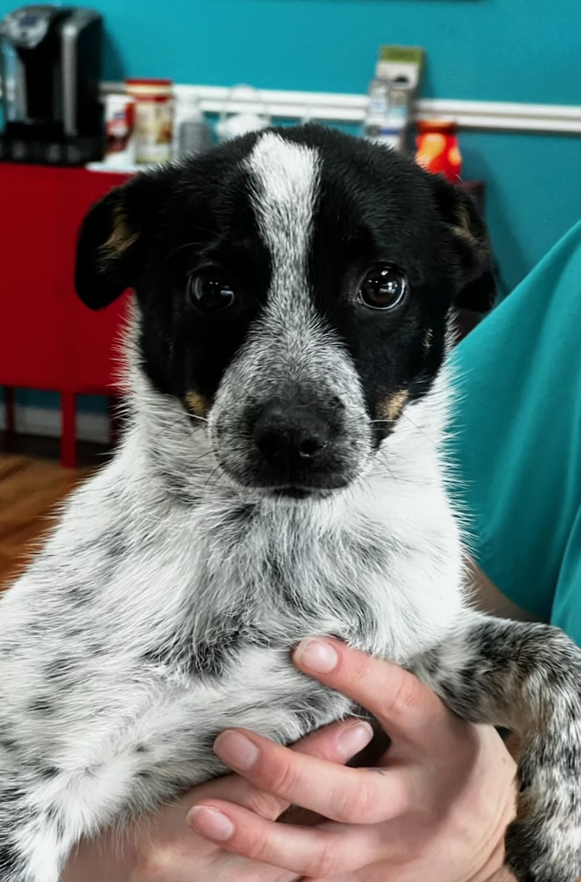 E74AF799-98A8-45C2-B862-93BCCB0752BD