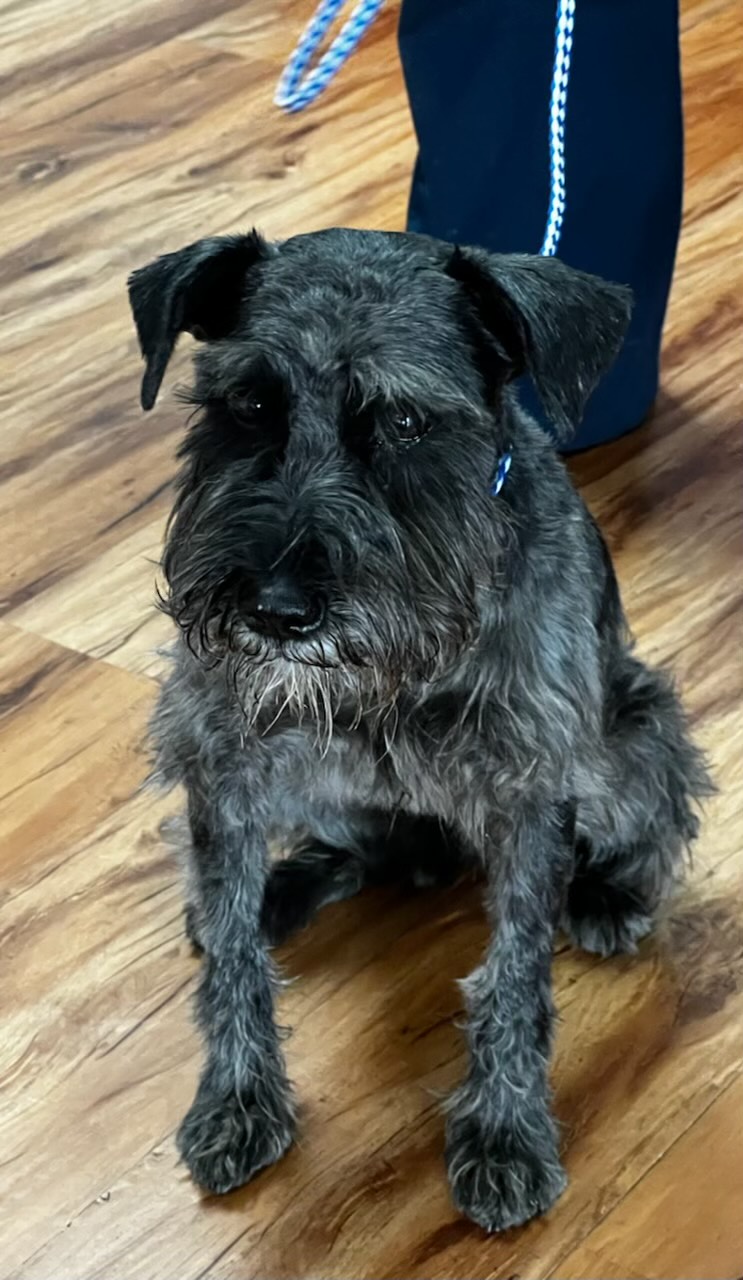 ED171D69-AD90-4C08-A636-1D25FD0CB03B