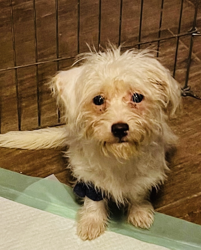 F7B4E987-CCC2-4021-914D-0BB0D6B14237