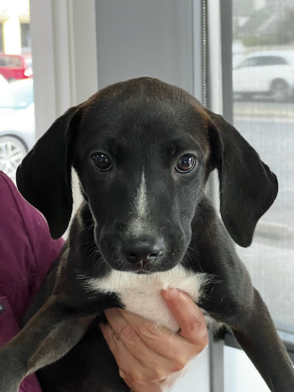 0368C9DB-7573-4570-B00E-422C08153813