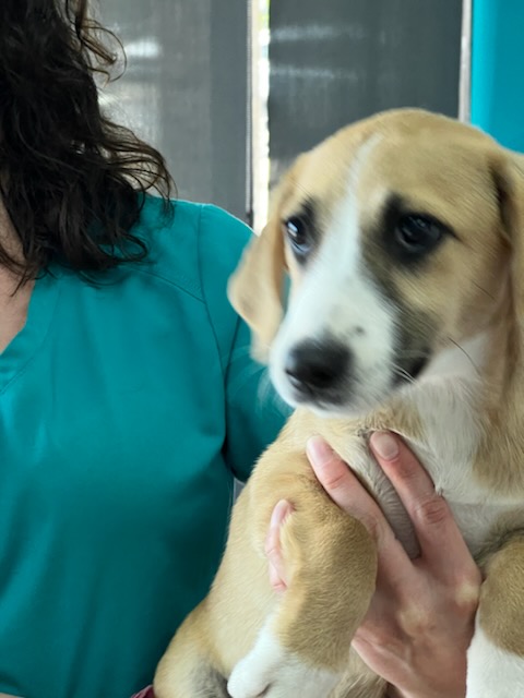 0DE82D1D-7B02-47EE-8B3C-DCAF7F67F3DC