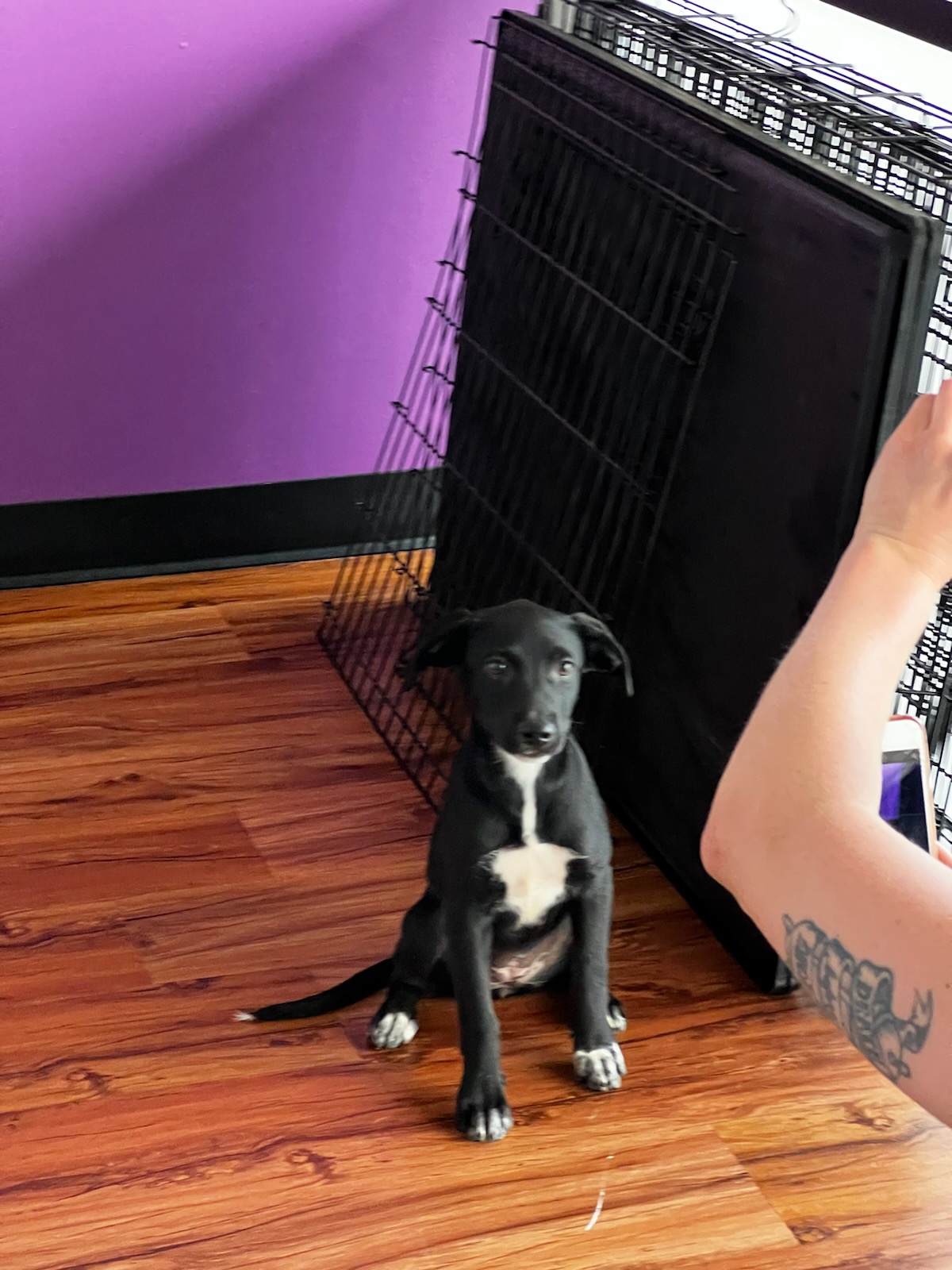 2D3AFEC6-52ED-4C58-9A58-33FC528FE9E4