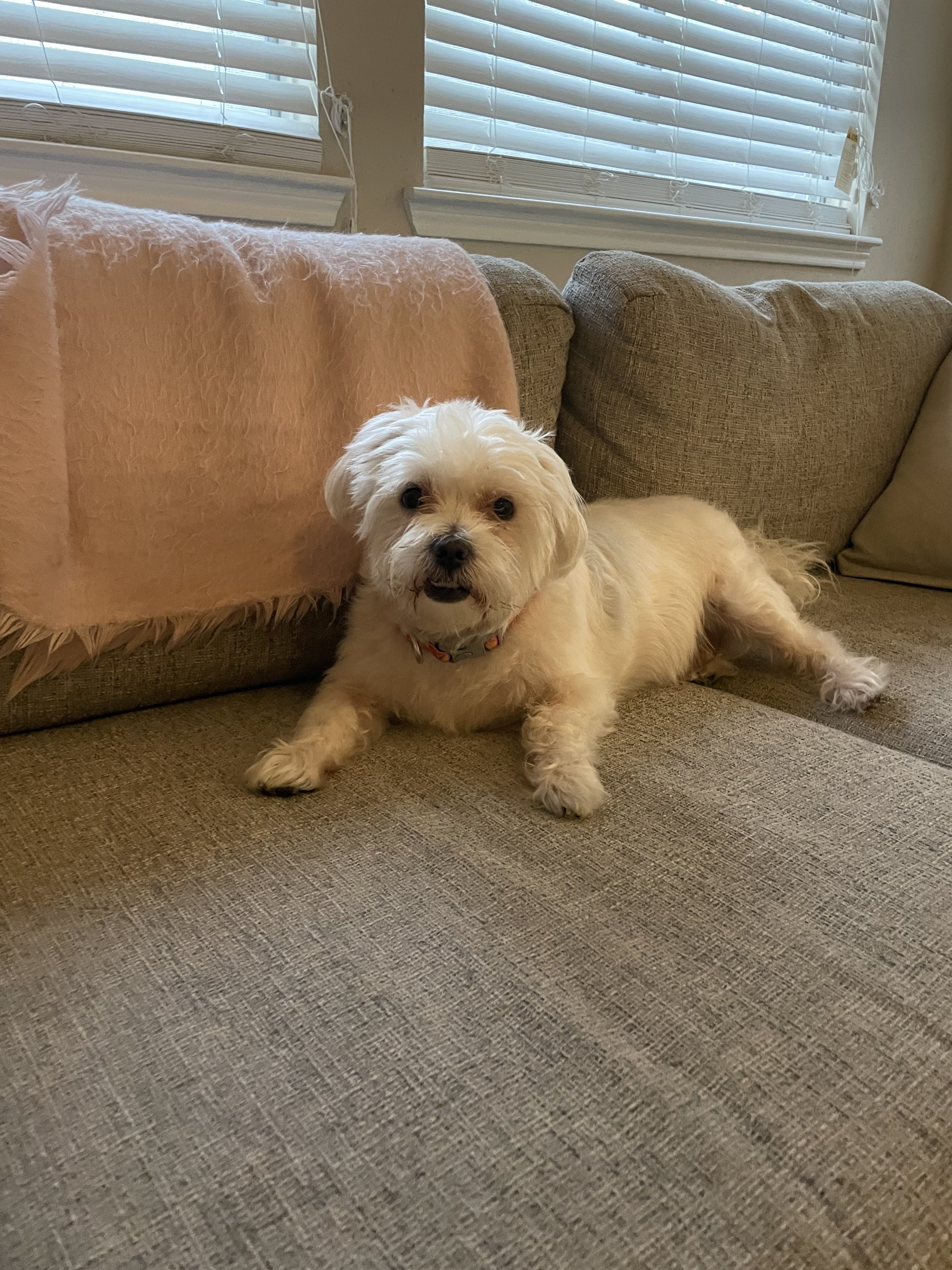 387CB8BB-4508-4A99-9F73-11C54B4F6135