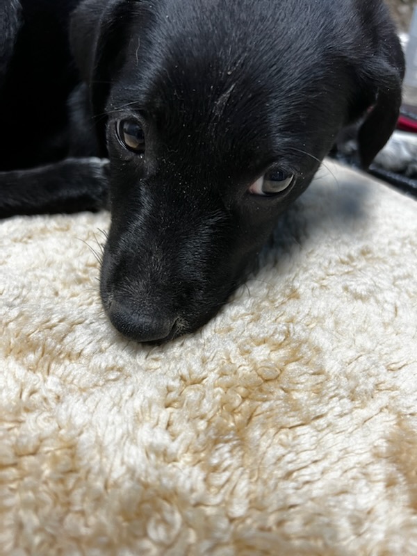 4B02A3F1-834E-4D6B-91EB-BCAFDC3B7D47