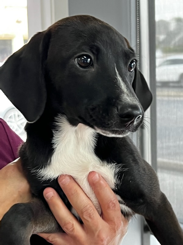 6CBB6C9F-9BA0-455A-A9ED-B1D9A2AF976F