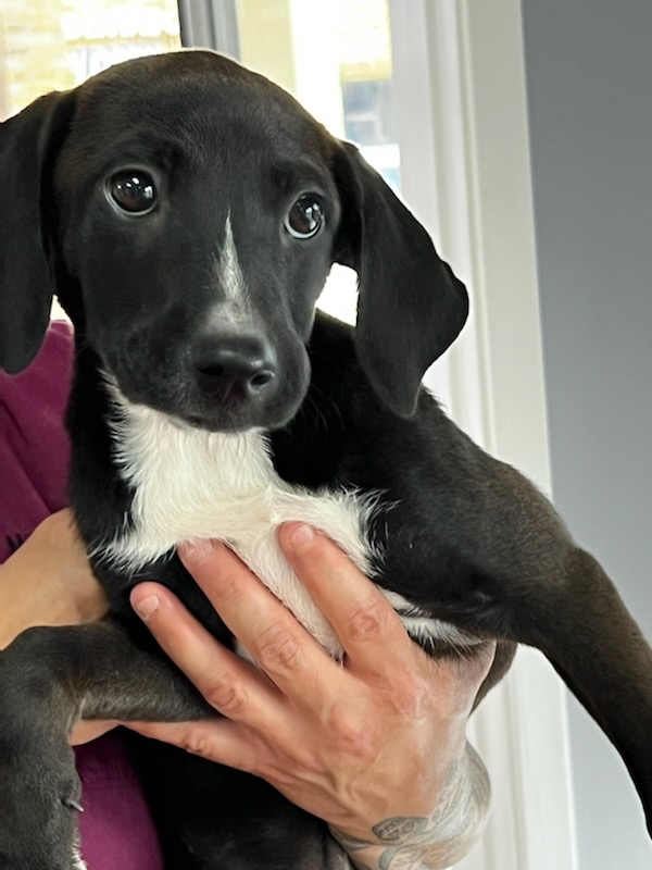 760D2F51-6BA9-4D41-BA3A-40F08E192206