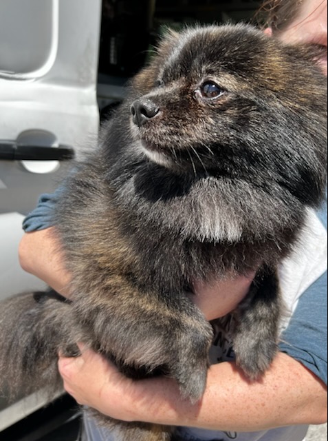 78BBC62D-DFCD-4DEA-A406-4D75A8B6FB04