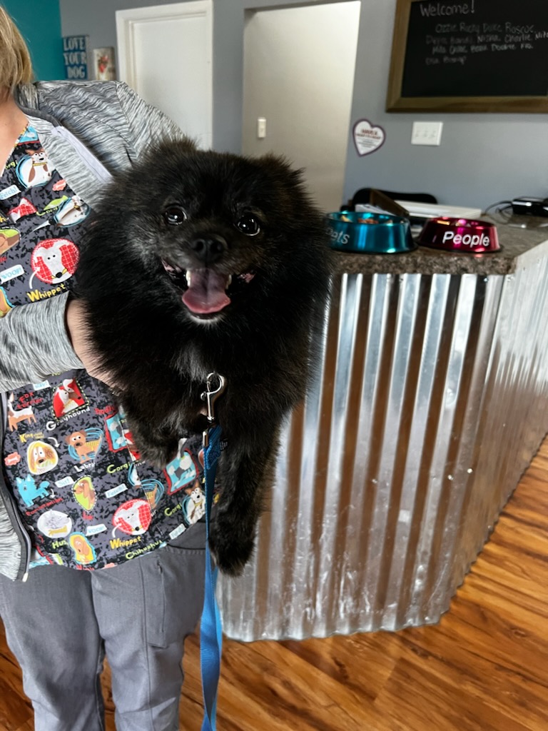 B652AFCD-4FC7-464C-B03F-AEF46E10B9EB