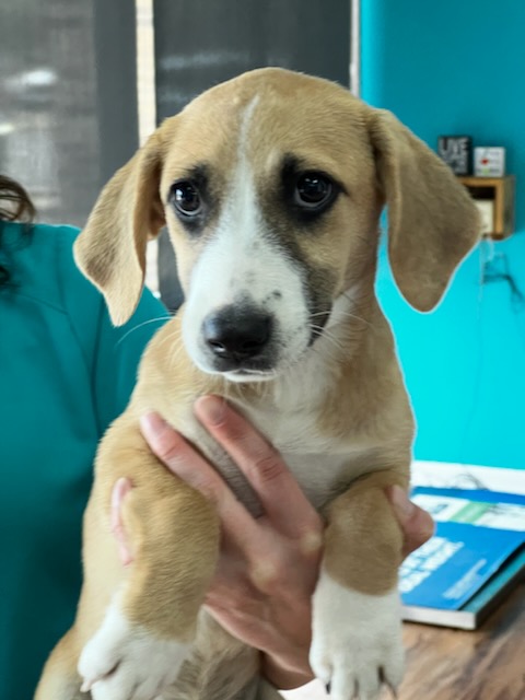 D066AD93-9743-49B6-8732-134186BF9766