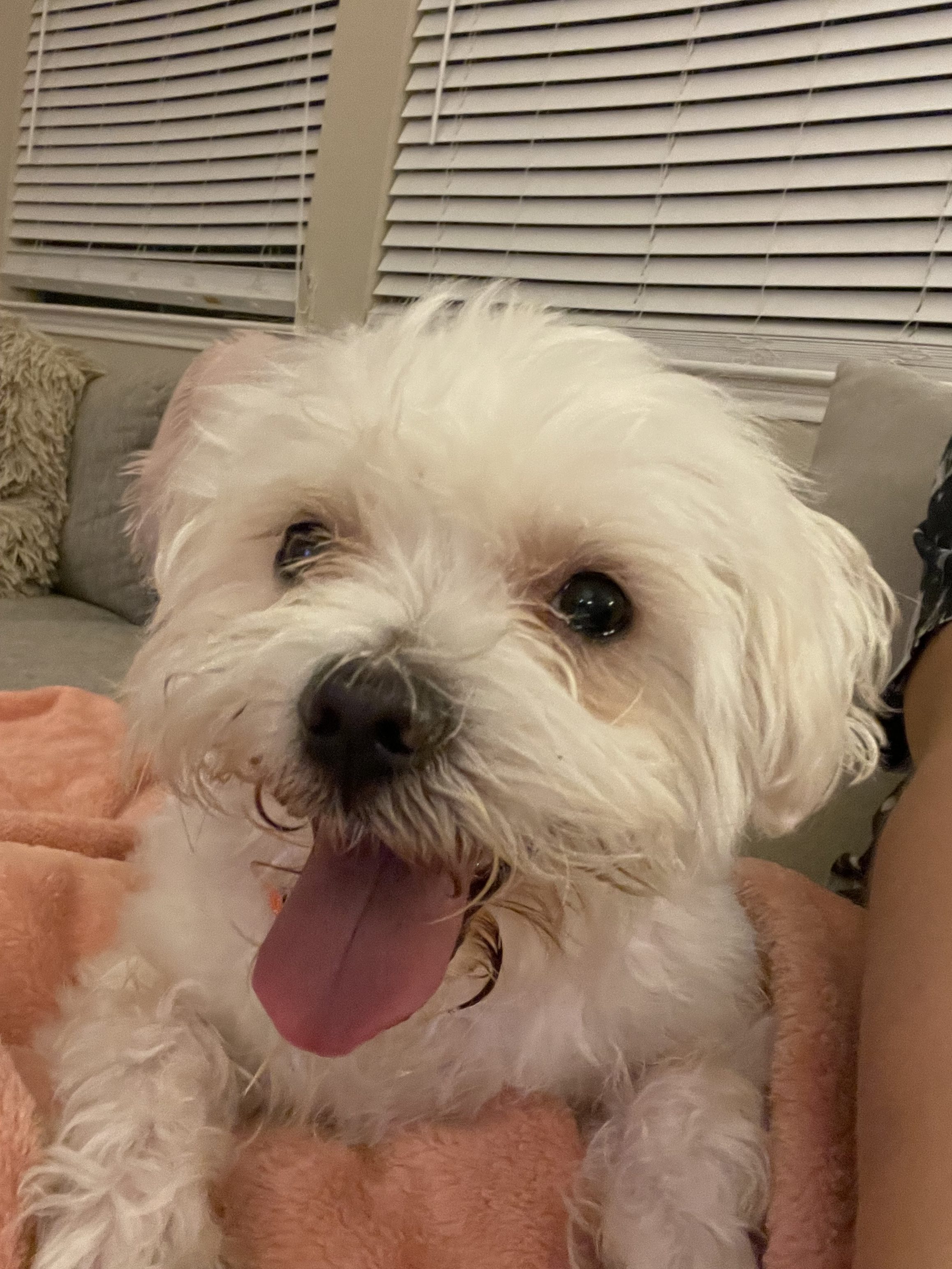 D1ECF594-A8A8-4500-82B1-D44282F42CAD