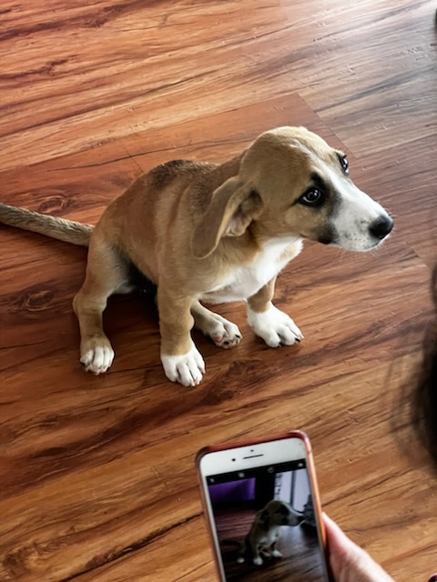 E1353D7C-4A24-4A15-A7E7-82711E187232