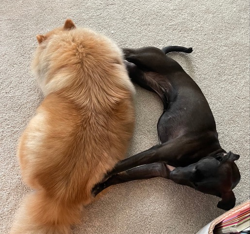 Ellie and Indy