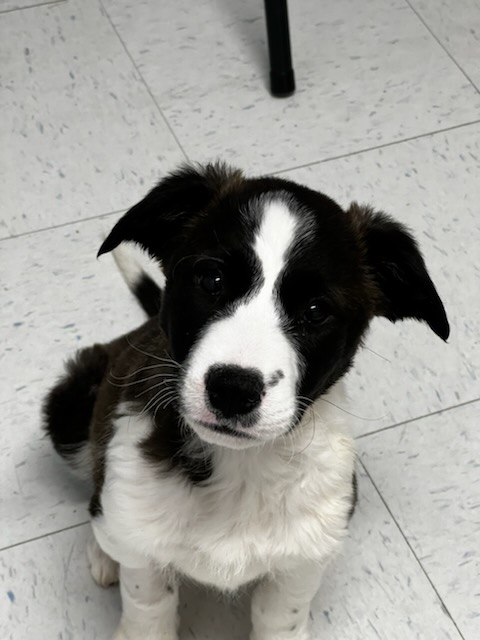 Mason2 (1)