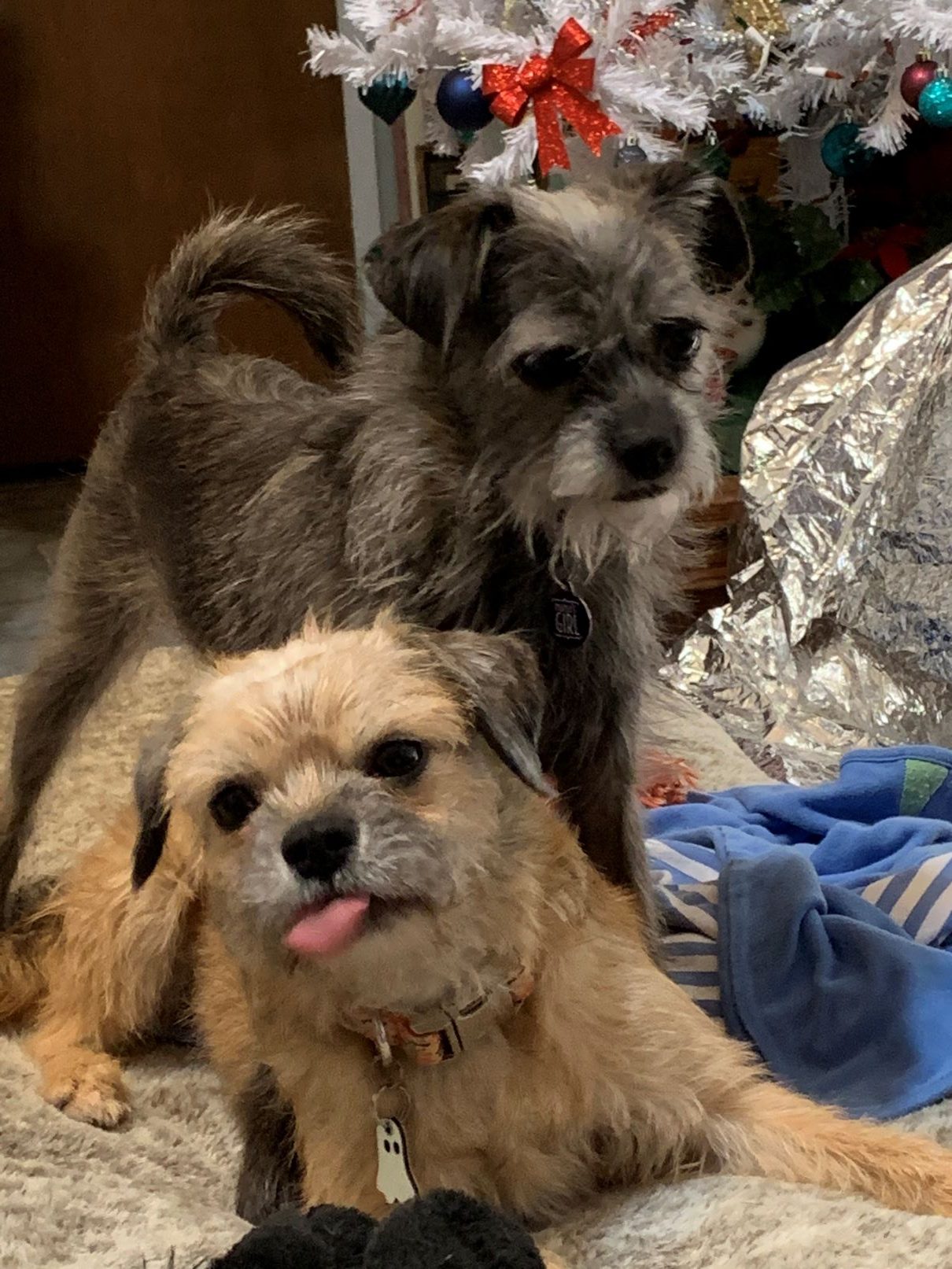 Boo with friend